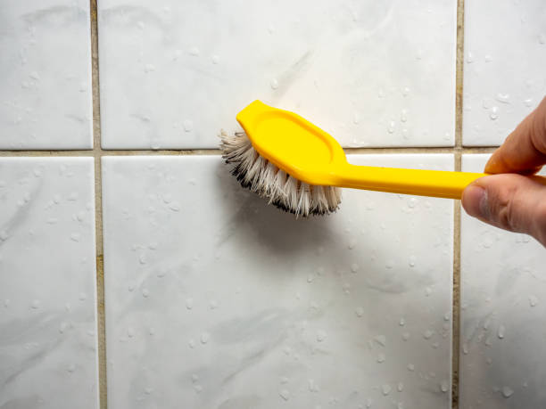 Best Mold Cleaning Services  in West Park, FL