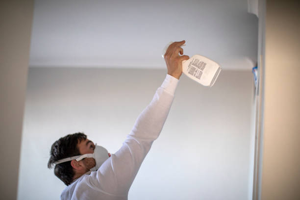 Best Commercial Mold Removal  in West Park, FL