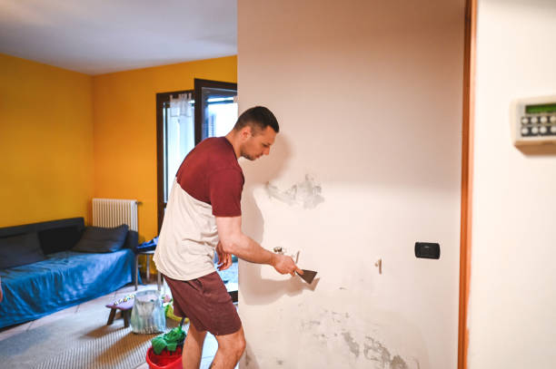 Best Professional Mold Removal  in West Park, FL